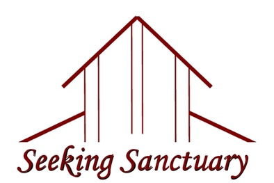 Update from Seeking Sanctuary – The Obstacle Course